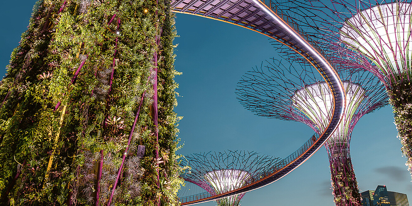 Super Trees Singapur