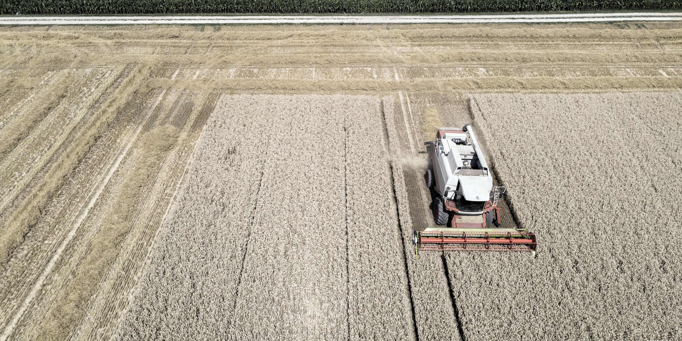 Landmaschine die ein Feld mäht